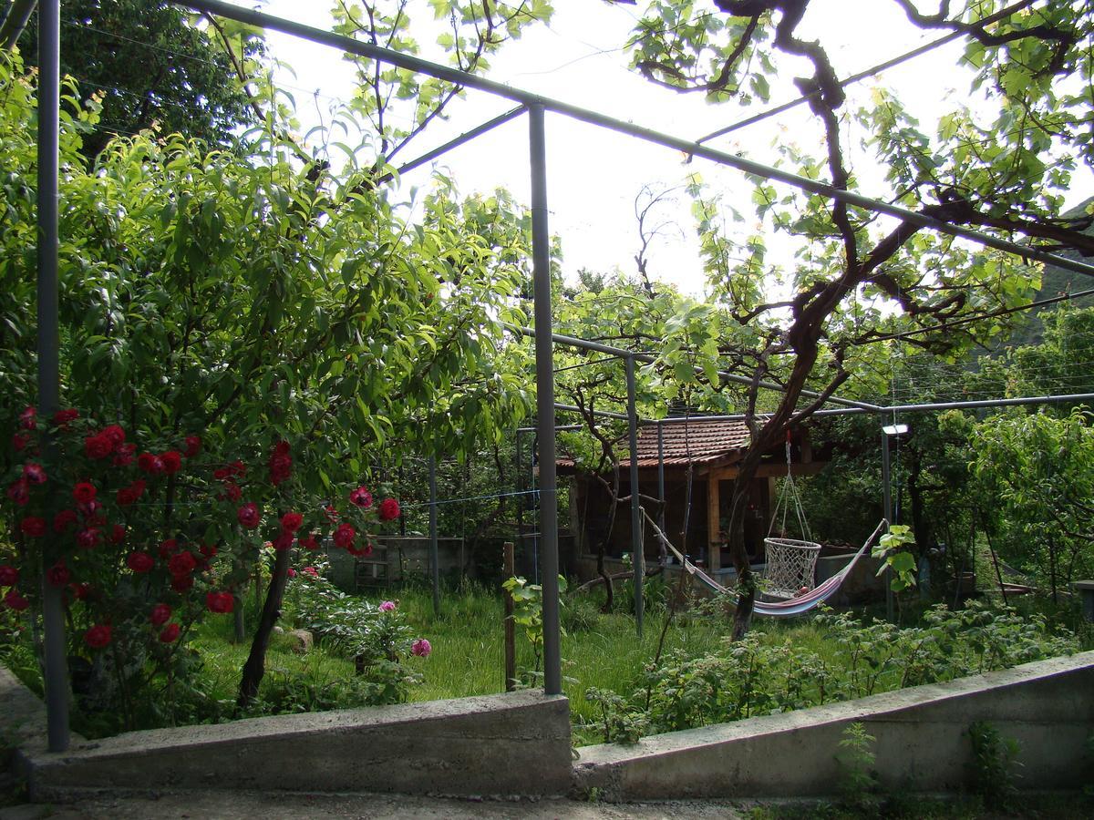 Guest House Ucha Mtskheta Exterior photo