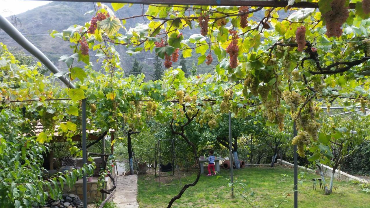 Guest House Ucha Mtskheta Exterior photo