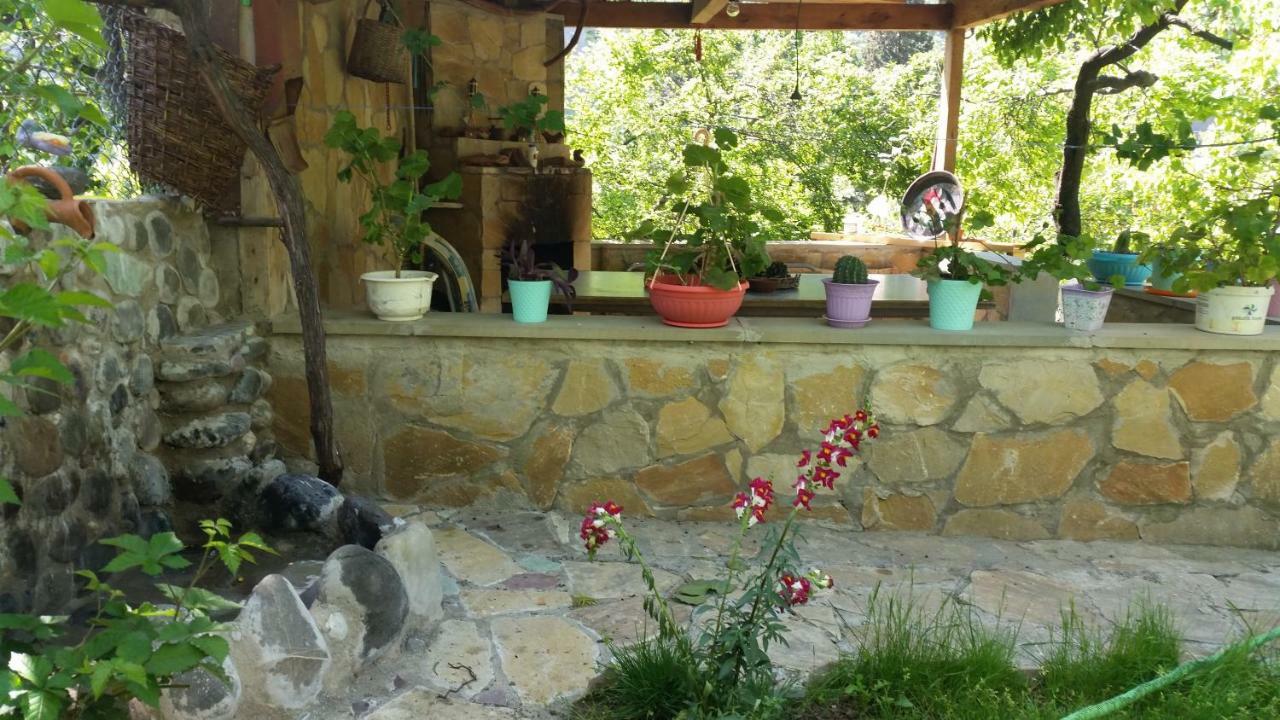 Guest House Ucha Mtskheta Exterior photo