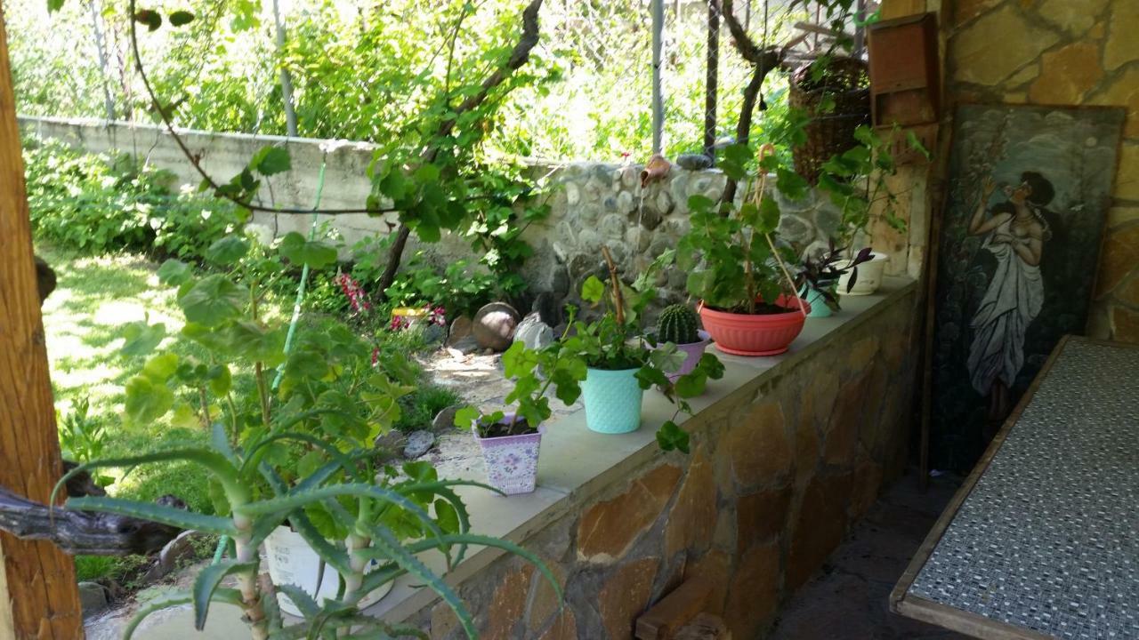 Guest House Ucha Mtskheta Exterior photo