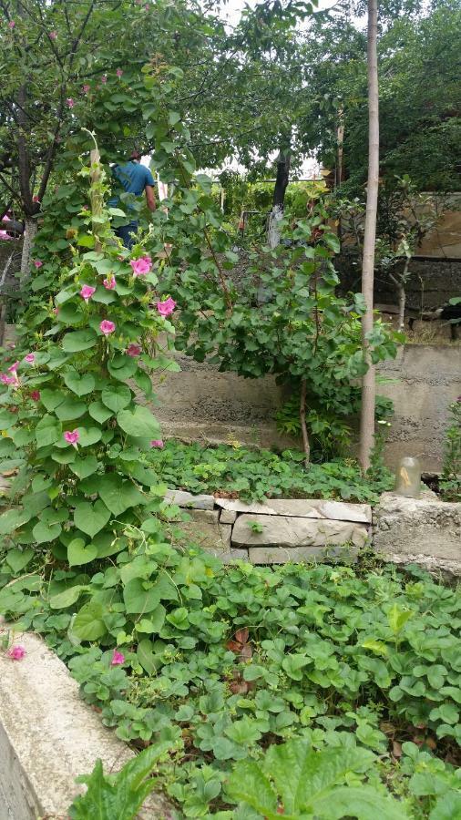 Guest House Ucha Mtskheta Exterior photo